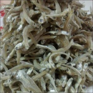 5-Anchovies-S-with-Head