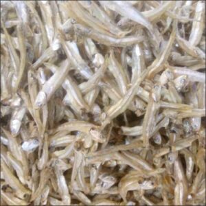 6-Anchovies-XL-with-Head