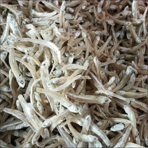 4-Anchovies-M-With-Head