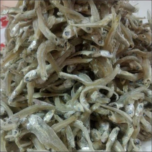 5-Anchovies-S-with-Head