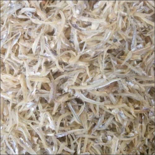 8-Anchovies-Superior-Quality